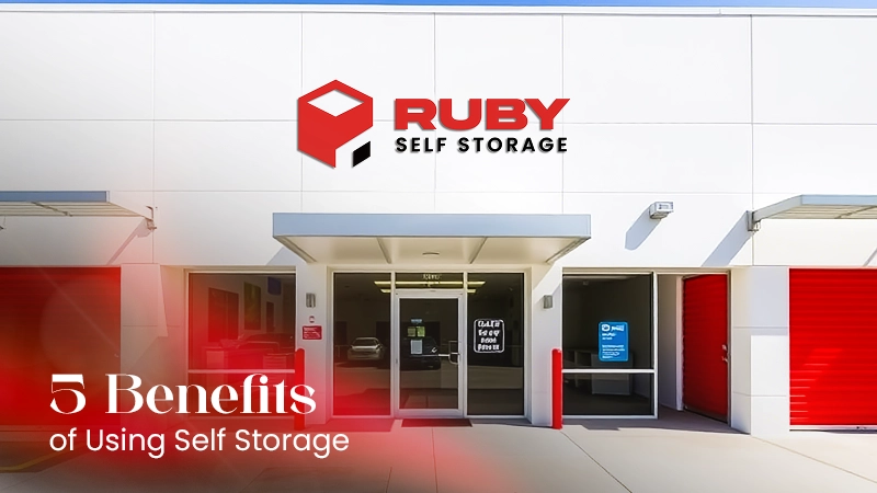 Self Storage in Abu Dhabi
